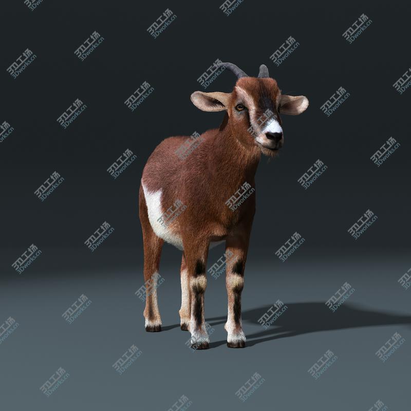 images/goods_img/20210319/Goat (FUR)/3.jpg